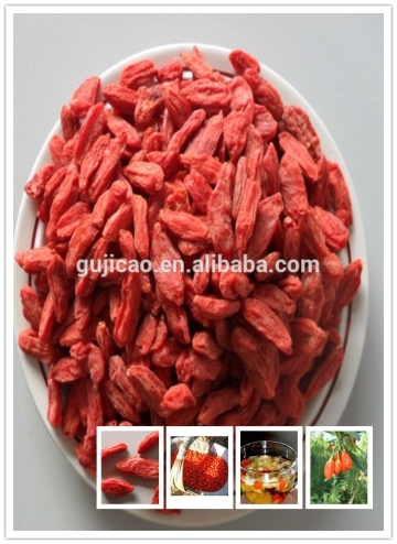 Chinese Boxthorn, Goji, Gou Qi Zi, Wolfberry/Goji Extract/organic goji berries
Lycium 