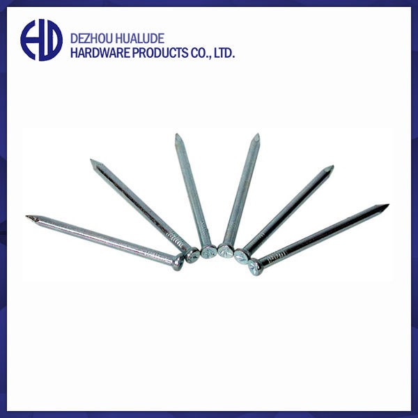 Building common wire nail, Construction Common nail iron nail factory