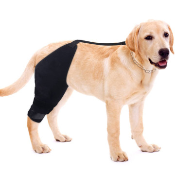 Neoprene Orthopedic Dog Leg Brace for Knee Support and Recovery