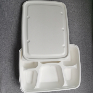 Take Away 6 Compartment Disposable Rectangle Sugarcane Tray