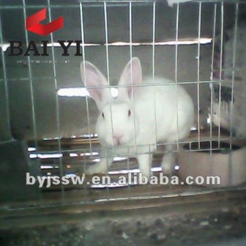 Stackable Steel Cages for Breeding Rabbits