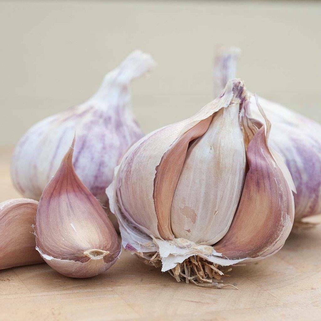 Wholesale New Red Garlic Seeds For Sale Application
