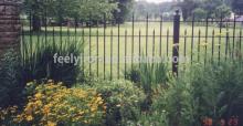 Simple Garden Wrought Iron Fence FF-004