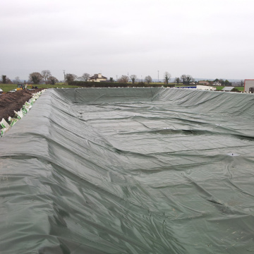 Pêche à la piste de piste de piste de géomembrane HDPE 0,75 mm