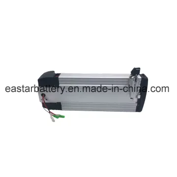 Hot Sell Li Ion 48V 20ah Lithium Battery