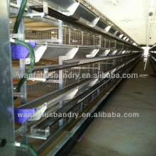 Pullets raising cage for poultry farming equipment chicken house