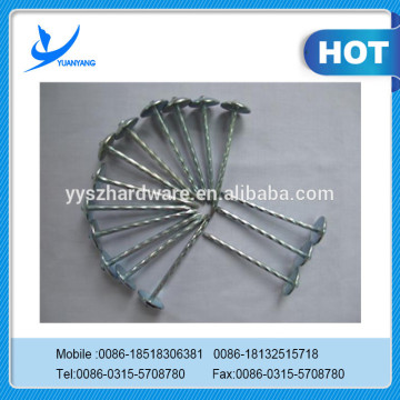 galvanized roofing nail/rubber washer roofing nails