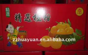 Fresh Mandarin Orange