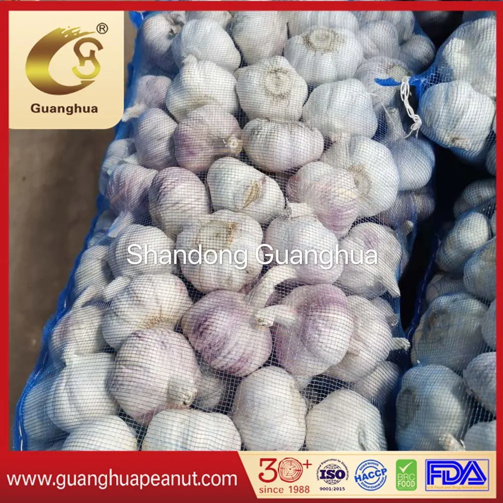 High Quality Normal Pure Garlic New Crop