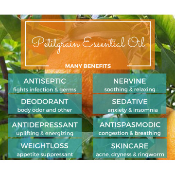 Wholesale bulk price petitgrain essential oil 100%