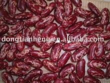 purple speckled kidney beans