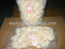 Frozen Half Shell Scallop