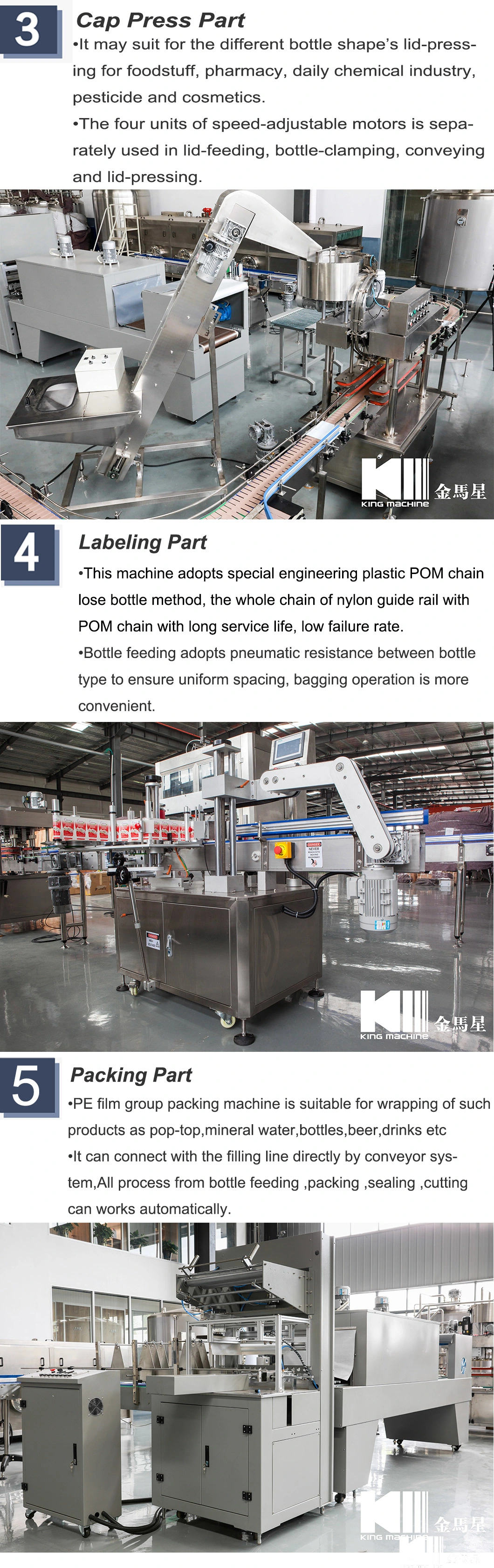 3000bph Automatic Glass or Plastic Bottle Vinegar Filling and Packing Machine