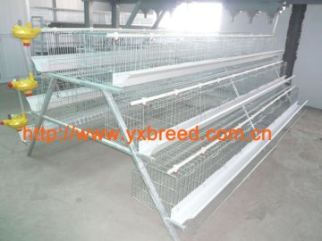 design chicken egg layer poultry cages for Nigeria farm
