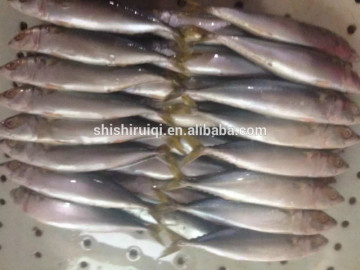 Whole Part frozen fresh sardines on sale