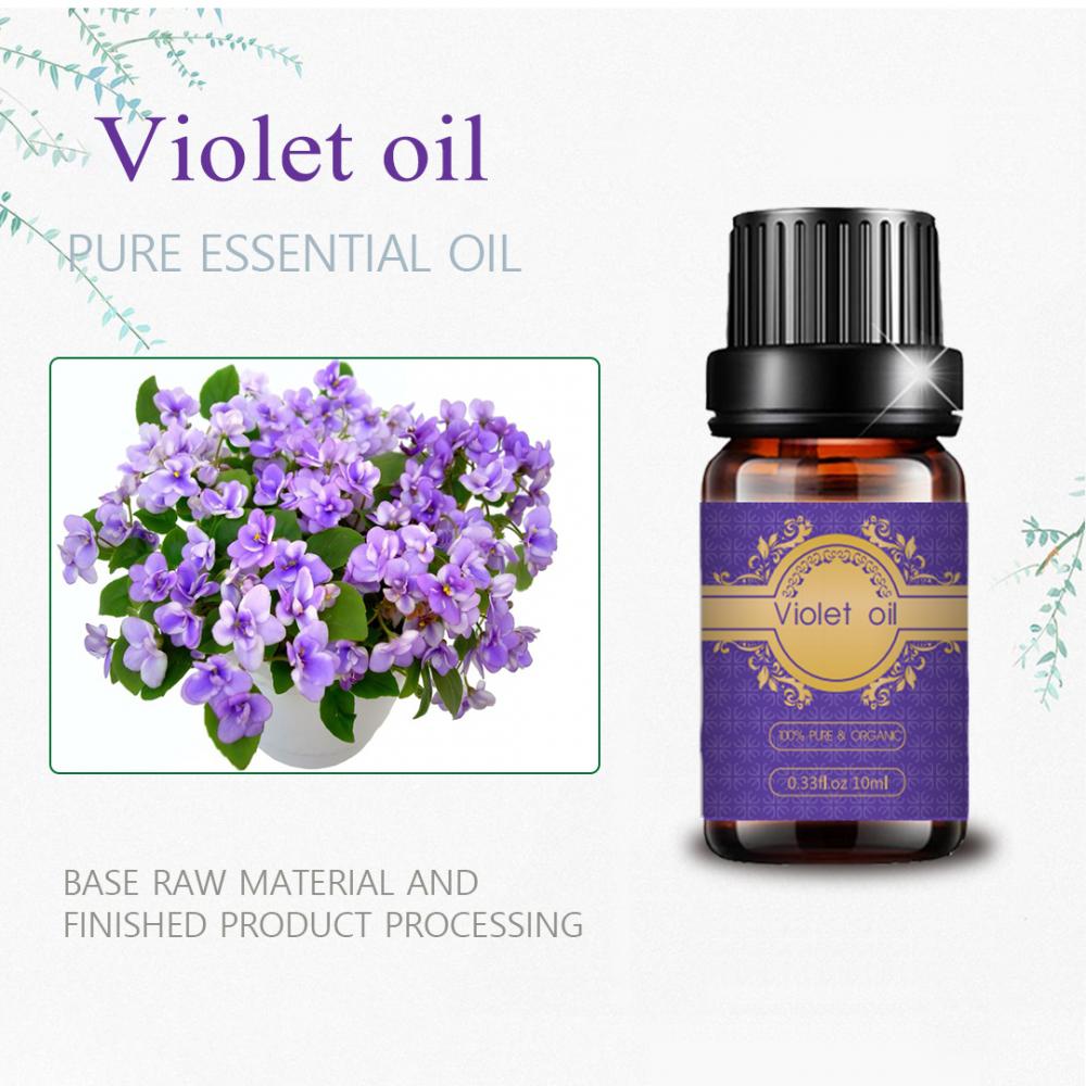 Pasokan pabrik 100%minyak esensial violet murni untuk kulit