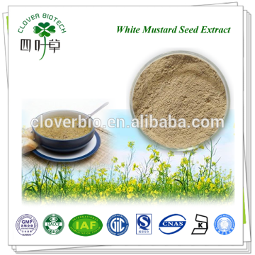 10:1 20:1 GMP Factory Supply White Mustard Seed Extract