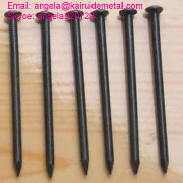 Black Coated Steel Concrete Nail