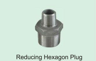 Stainless Steel Casting Pipe Fitting Reducing Hexagon Nipple