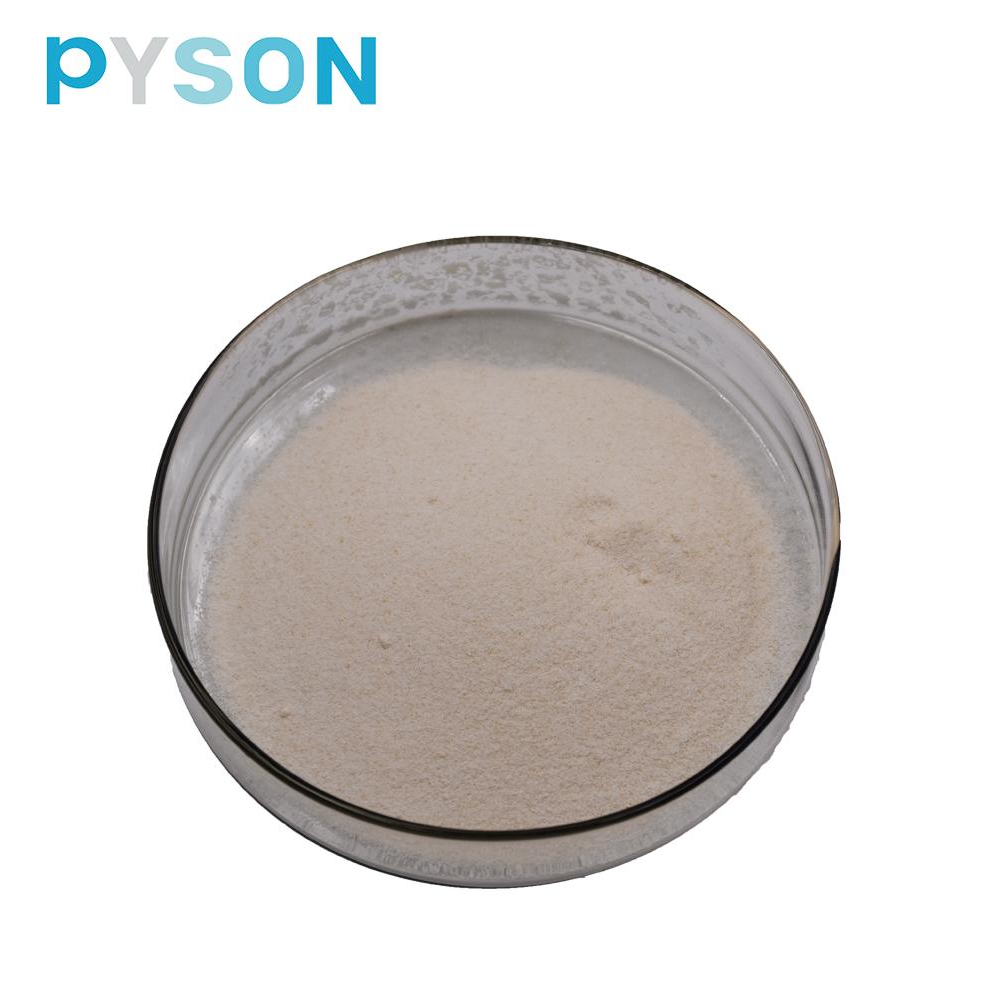 Chromium yeast