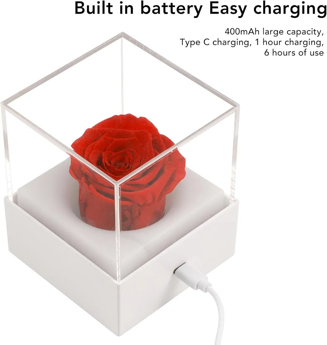 Whimsical USB Flower Night Light for Girls′ Rooms