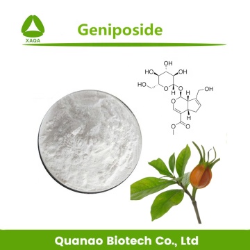 Cape Jasmine Fruit Gardenia Extracto Geniposide 98% Powder