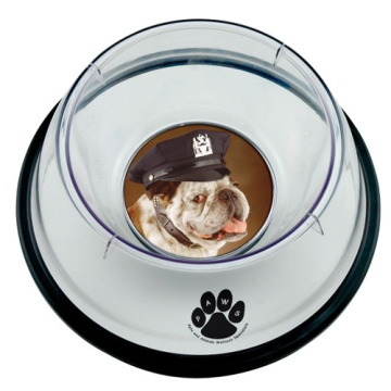 Small Pet Bowl