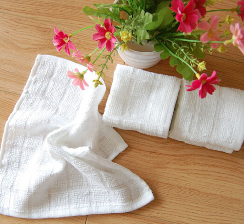 Unbleached Cotton Toweling