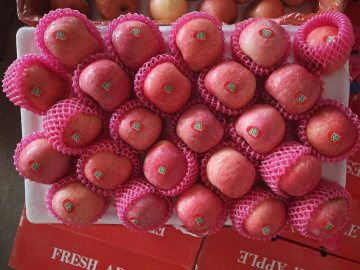 Good Quality 2020 Year New Crop FUJI Apple