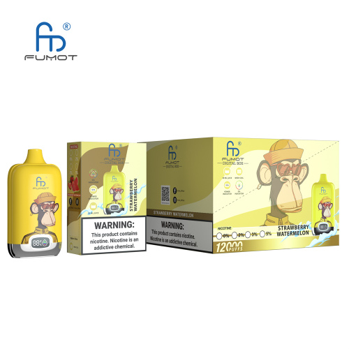 Randm Disposable Vape Digital Box 12000 Puff