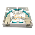 2 Ports Fiber Optic Wall Plate