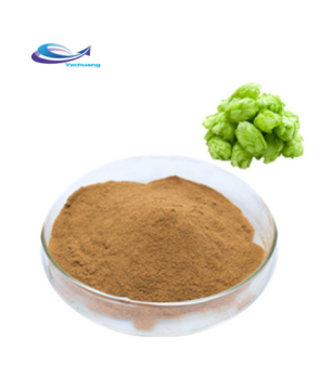 100% hops flower extract hops extract xanthohumol 98%