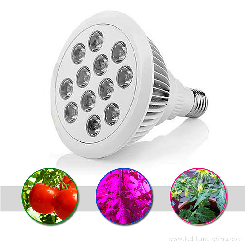 Helper Of Family Plant Light And greenhouse 12w Par LED grow light