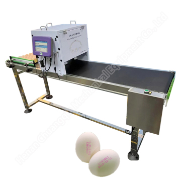 Affordable Professional Egg Printer