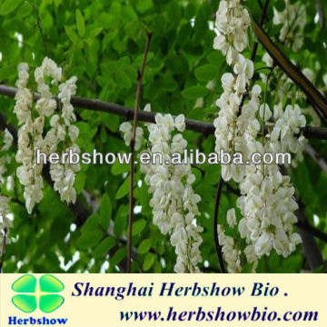 white wisteria sinensis alba seeds for Cultivating