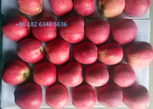 Paper Bagged Round Shape Red Star Apple