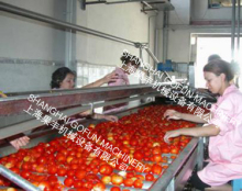 fruit sorting machine