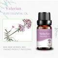 ฉลากส่วนตัวเกรดการบำบัดน้ำมัน Pure 10ml Valerian