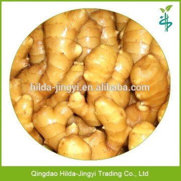 Chinese ginger, mature ginger root