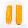 Maize Crop