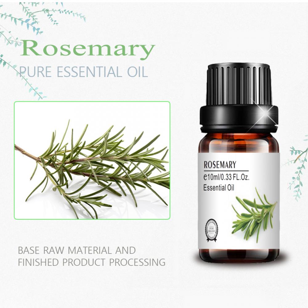 Label Kustom 10ml Minyak Esensial Wewangian Bulk Rosemary