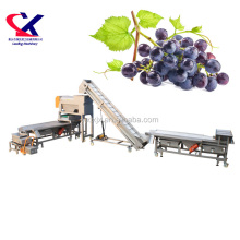 Large Scale Ice Grape Juice Making Machine | Grape Juice Processing Equipment