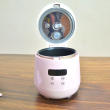 China Manufacturer OEM High Quality Digital Rice Cooker for Electric Lunch Box