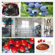 turn key buleberry/tomato/strwberry concentrate puree /jam / paste/ ketchup production line