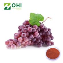 Grape Fruit Juice Powder