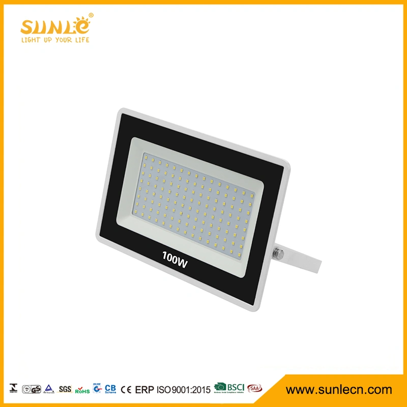 Ce Certified IP65 100W Outdoor Lighting LED Flood Light