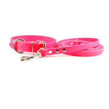 Training Dog Collar & Dog Leads (HST11636)