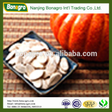 pumpkin seed /wholesale pumpkin seeds