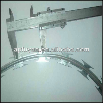 galvanized concertina blade razor wire (factory)