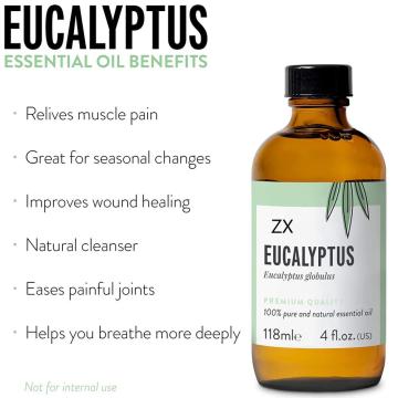 Factory supply wholesale price pure natural eucalyptus oil